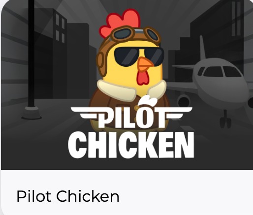 Pilot chicken